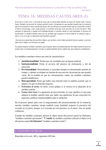 TEMA-16.pdf