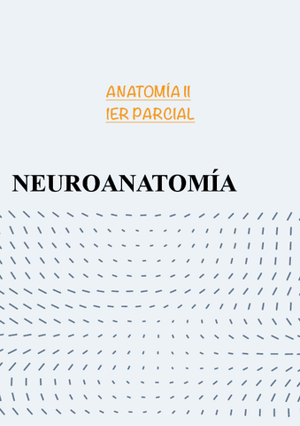 NEUROANATOMIA-1o-PARCIAL.pdf