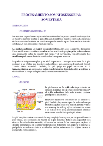 Tema-2-fisiologia.pdf