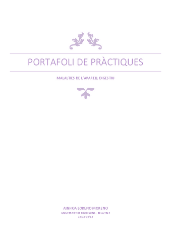 portafolio-dige.pdf