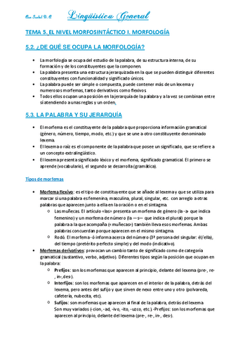 TEMA-5.-EL-NIVEL-MORFOSINTACTICO-I.-MORFOLOGIA.pdf