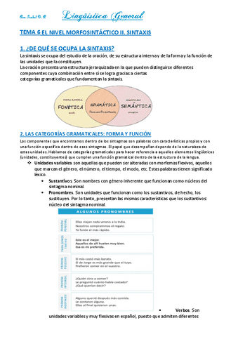 TEMA-6.-EL-NIVEL-MORFOSINTACTICO-II.-SINTAXIS.pdf