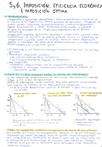 TEMA-5-i-6-FP.pdf