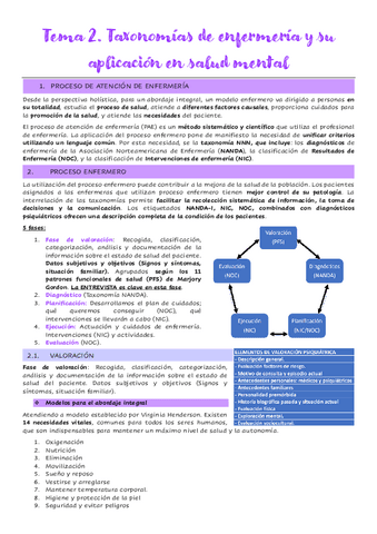 Tema-2.-Taxonomias-de-enfermeria-y-su-aplicacion-en-salud-mental.pdf