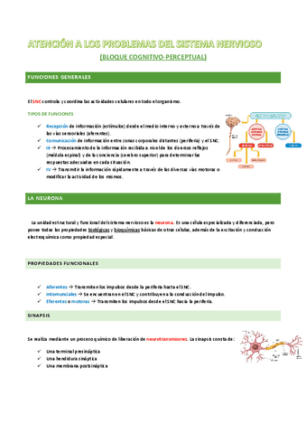 ATENCION-A-LOS-PROBLEMAS-DEL-SISTEMA-NERVIOSO.pdf