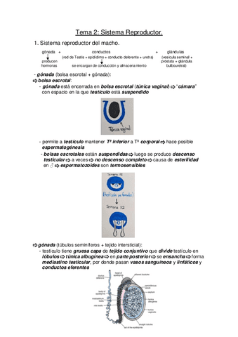 Biotecnologia-de-la-Reproduccion-Tema-2.pdf
