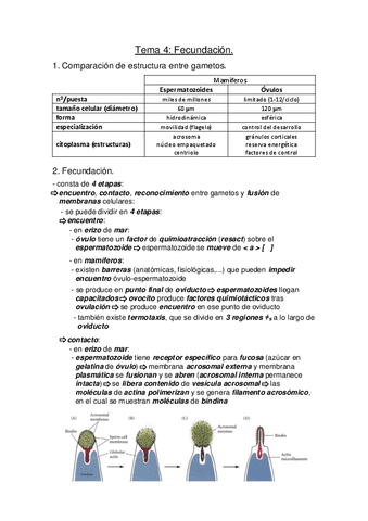Biotecnologia-de-la-Reproduccion-Tema-4.pdf