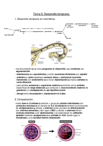 Biotecnologia-de-la-Reproduccion-Tema-5.pdf