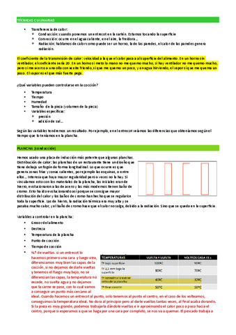 APUNTES-PRACTICAS-INMERSION-Y-EXPERIMENTACION.pdf