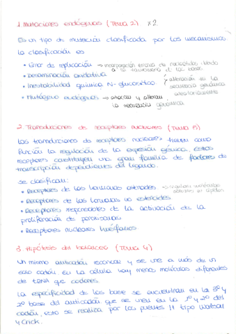 Preguntas_Examen_2.0.pdf