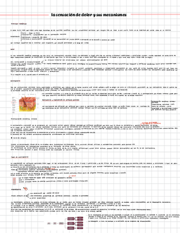 tema dolor-psicofisio.pdf