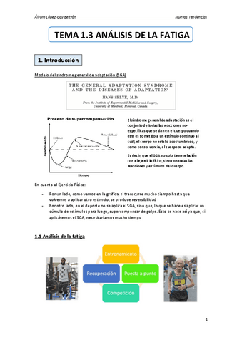 TEMA-1.3-Analisis-de-la-fatiga.pdf