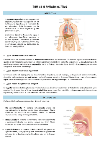 histopatologia-T12.pdf