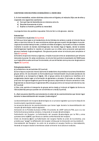 Cuestiones examen C3 resueltas 2024.pdf