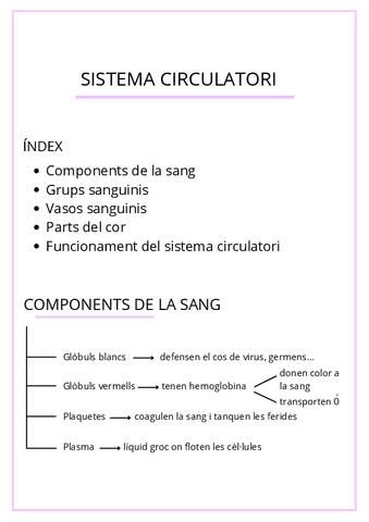 SISTEMA-CIRCULATORI.pdf