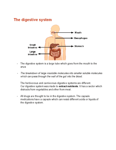 The-digestive-system-summary.pdf