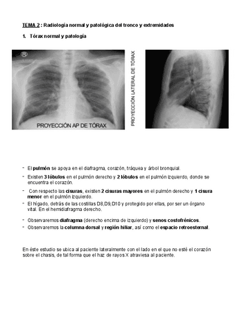 DIAGNOSTICO-TEMA-2.pdf
