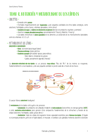 TEMA-4-NUTRICION.pdf