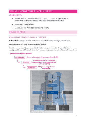 TEMA-1-CICLO-VITAL.pdf