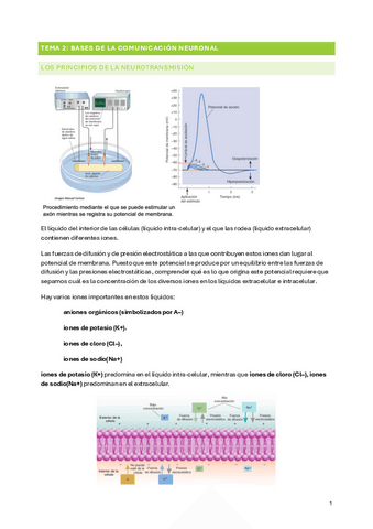 TEMA-2-BIOLOGIA-DEL-COMPORTAMIENTO.pdf