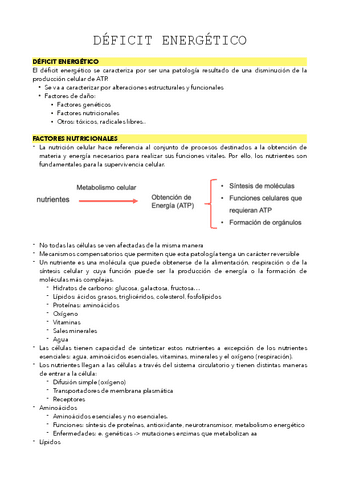 TEMA-3.pdf