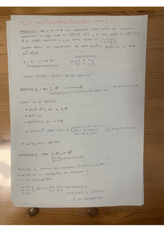 test.autoevaluacion.pdf