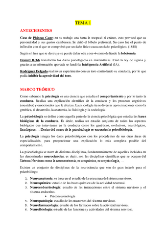 TEMA-1.pdf