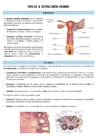 histopatologia-T14.pdf