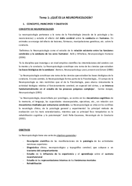 TEMA 1.pdf