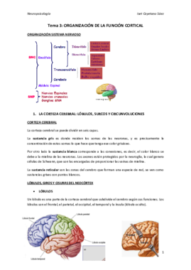 TEMA 3.pdf
