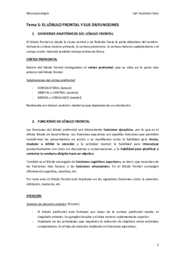 TEMA 5.pdf