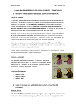 TEMA 6.pdf