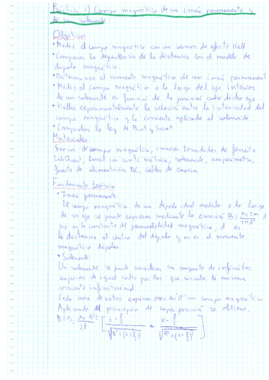 Campo magnético.pdf