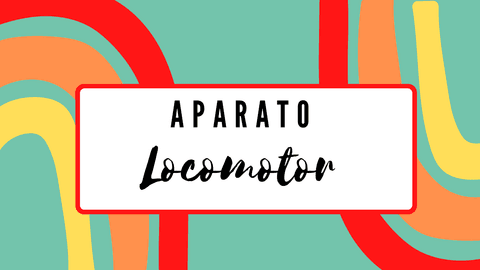 APARATO-LOCOMOTOR.pdf