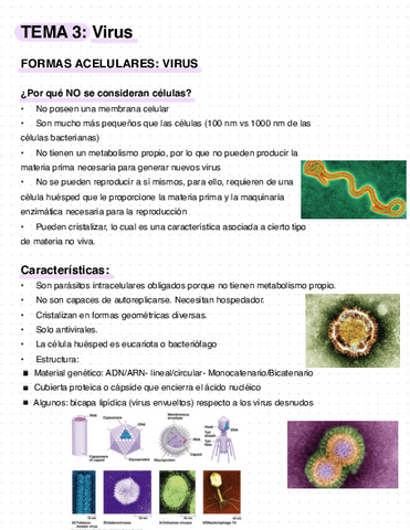 TEMA-3-Virus.pdf