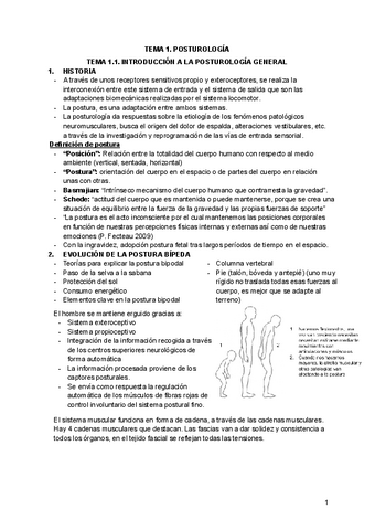 TODO-AMH.pdf