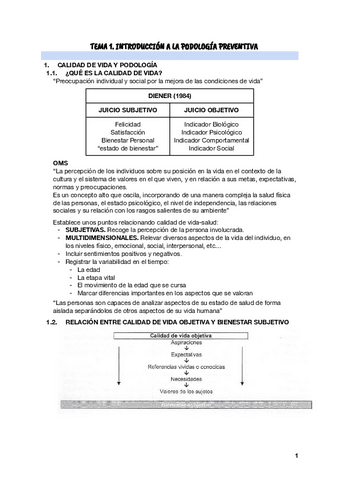 TEMAS-Preventiva.pdf