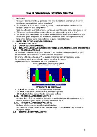 Temas-P.Deportiva.pdf