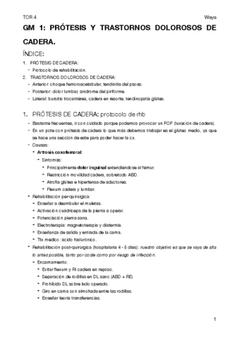 TOR-4-GM-1.pdf