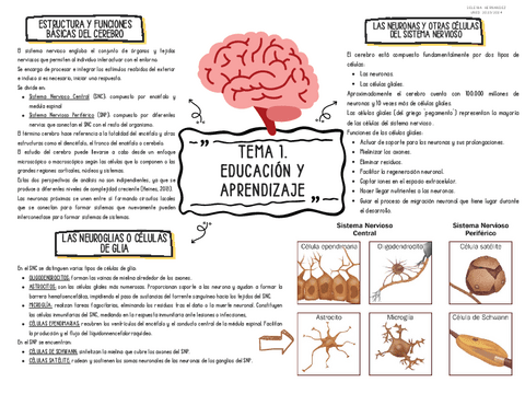 Tema-1.-EDUCACION-Y-APRENDIZAJE.pdf