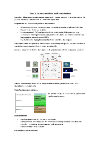 Tema-2.-Estructura-y-dinamicas-biologicas-en-el-oceano.pdf