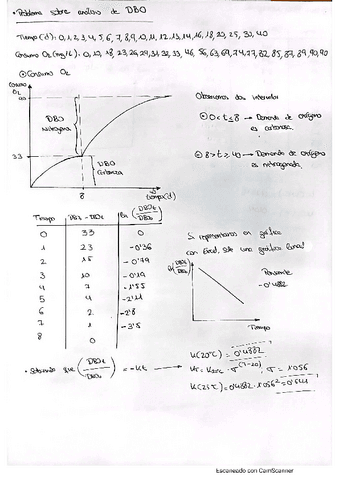 Problema-Sobre-Analisis-DBO.pdf