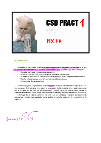 PL01-CSD-Piscina.pdf