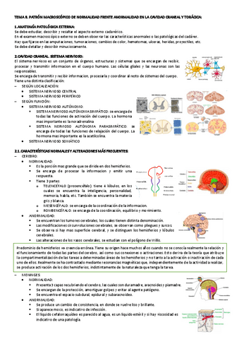 TEMA-8-NECRO.pdf