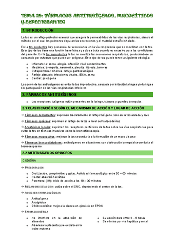 TEMA-25.pdf