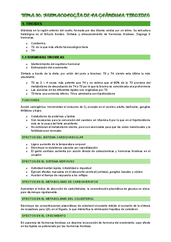 TEMA-30.pdf