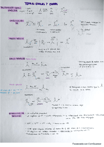 quimica-organica-II-tema-4-enoles-y-enonas.pdf