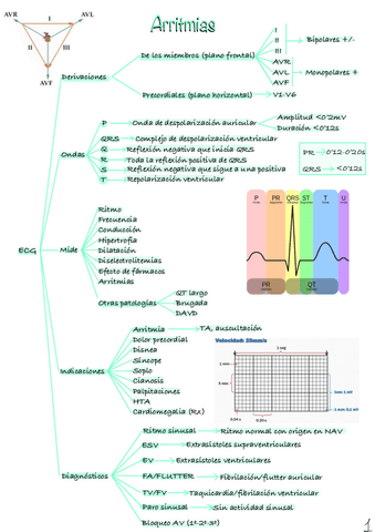Arritmias.pdf