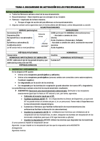 TEMA-4.pdf