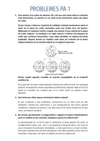 PROBLEMES PA 1.pdf